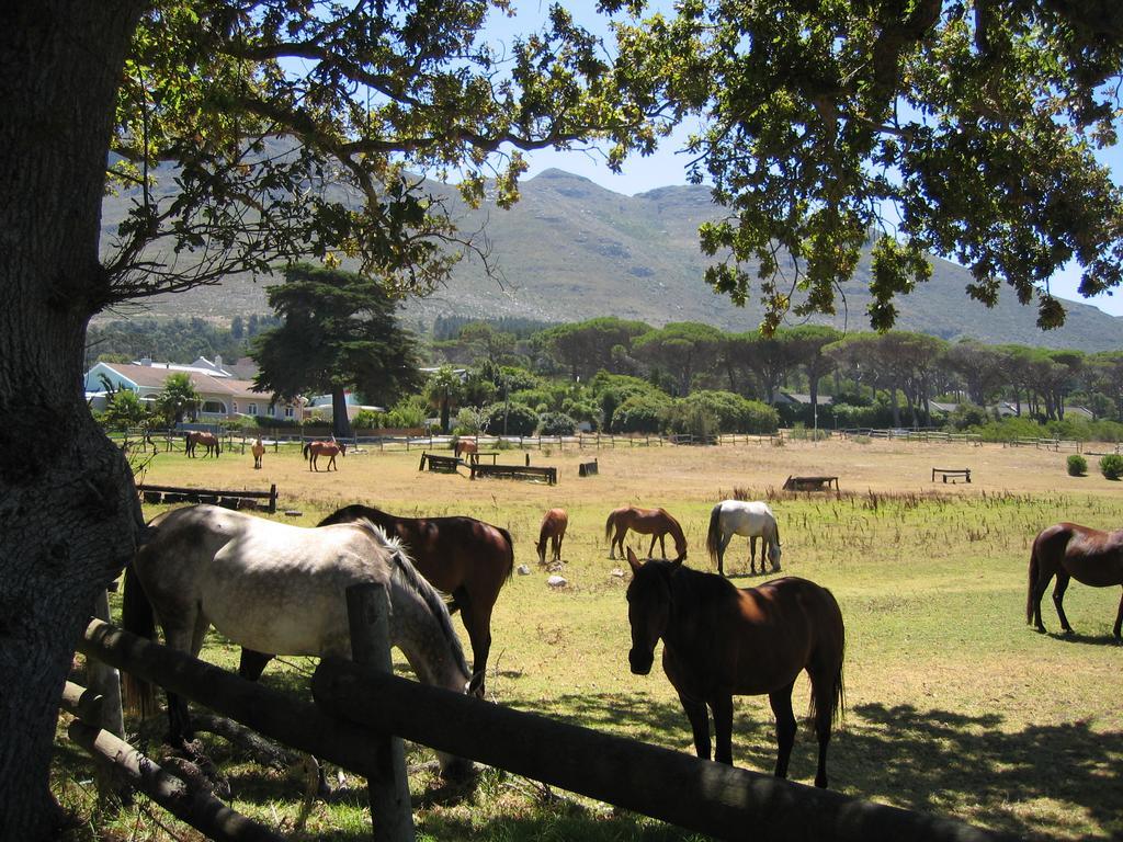 Sacred Mountain Lodge Noordhoek Exterior foto